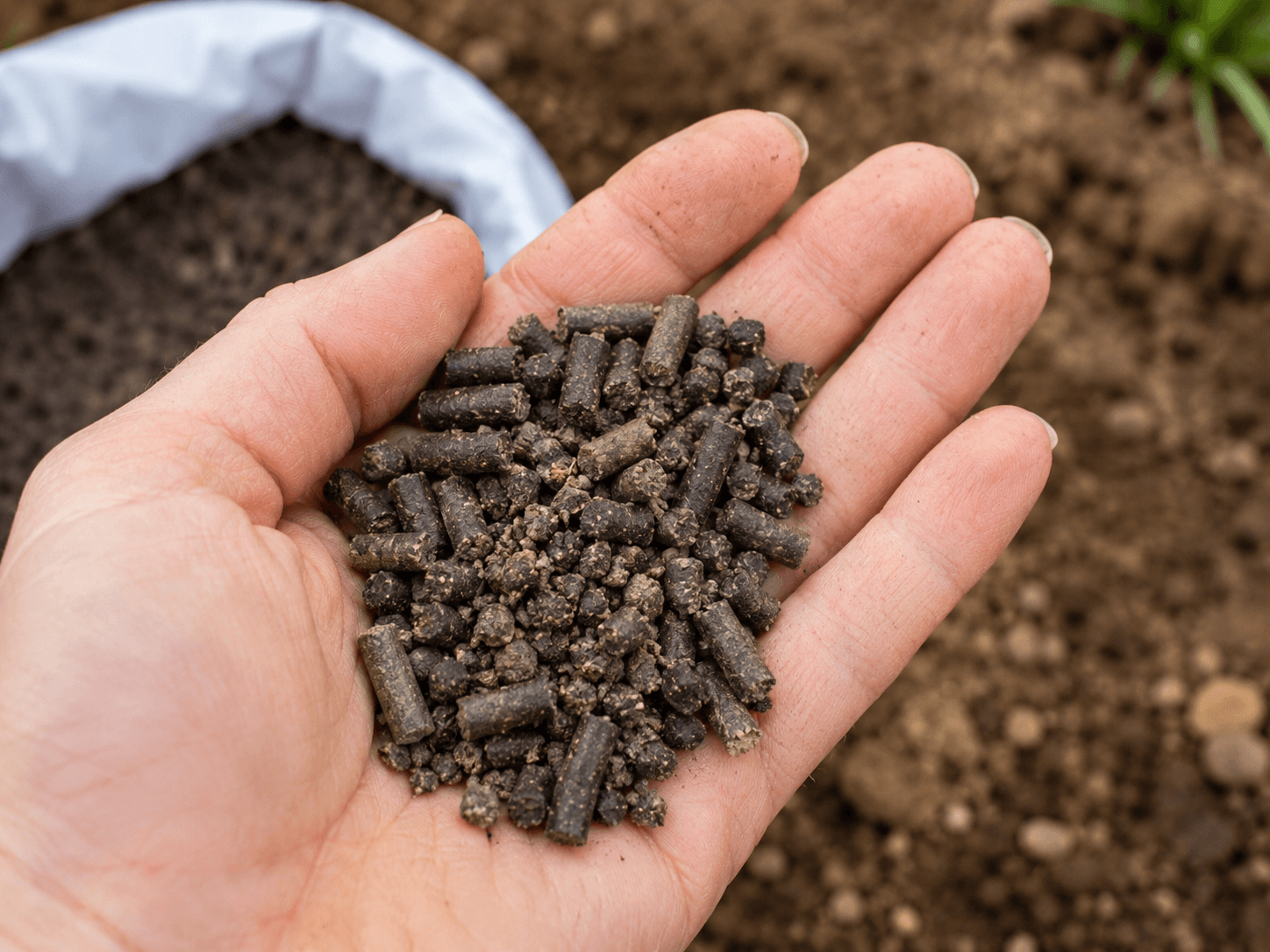 Organic fertilizer from composted rice straw